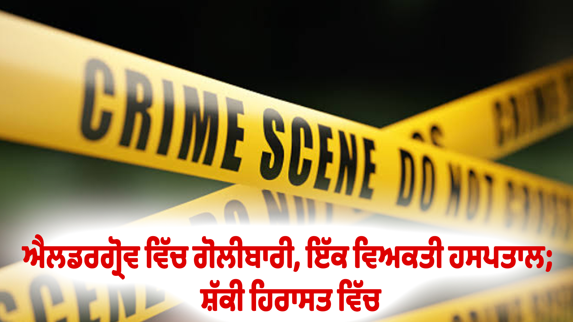 ਐਲਡਰਗ੍ਰੋਵ ਵਿੱਚ ਗੋਲੀਬਾਰੀ, ਇੱਕ ਵਿਅਕਤੀ ਹਸਪਤਾਲ; ਸ਼ੱਕੀ ਹਿਰਾਸਤ ਵਿੱਚ