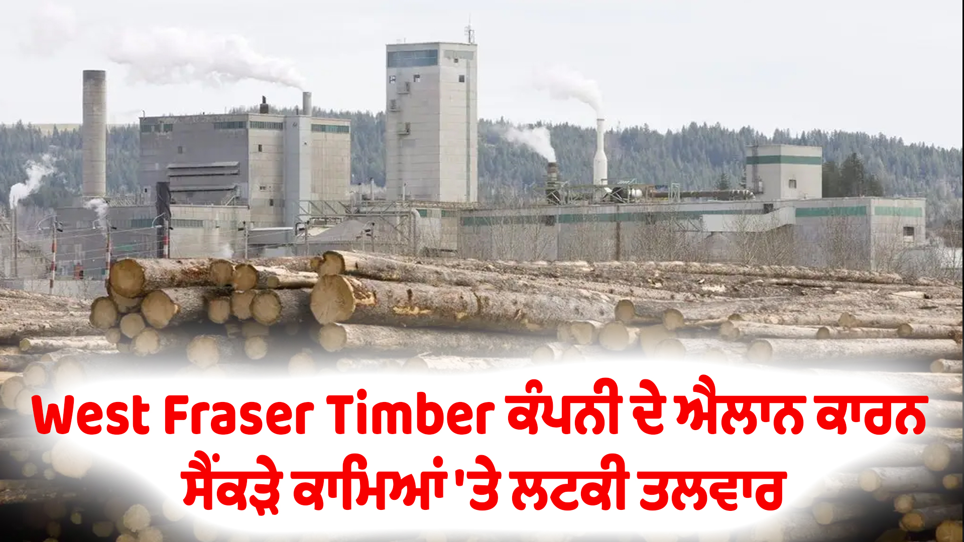 West Fraser Timber ਕੰਪਨੀ ਦੇ ਐਲਾਨ ਕਾਰਨ ਸੈਂਕੜੇ ਕਾਮਿਆਂ 'ਤੇ ਲਟਕੀ ਤਲਵਾਰ
